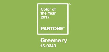 Colour of the Year Pantone