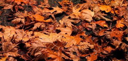 Calzado de otoño